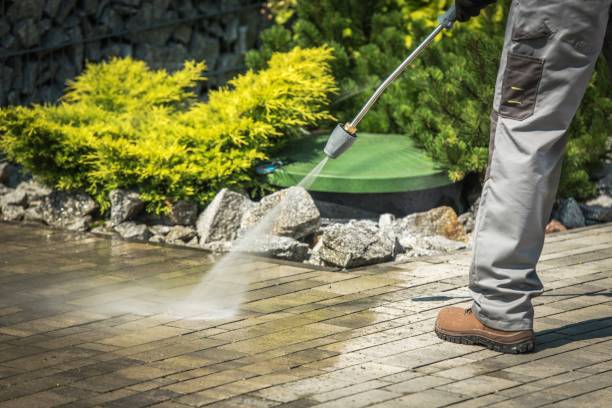 Best Spring Cleaning  in St Charles, MN