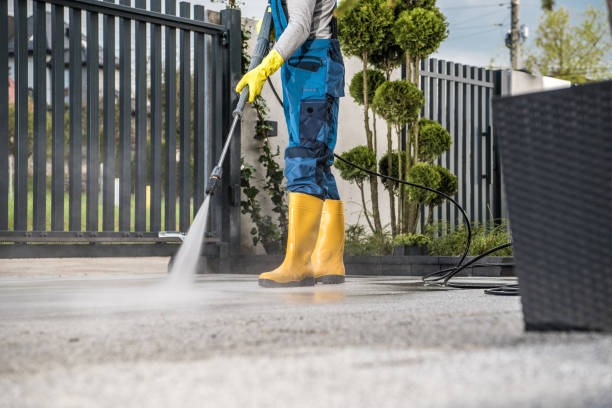 Best Rust Removal  in St Charles, MN