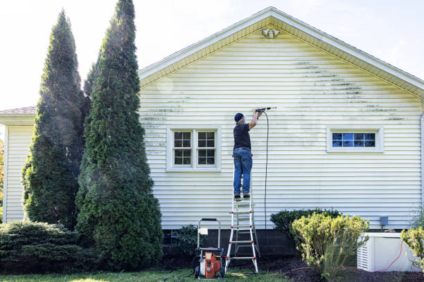 Best Driveway Pressure Washing  in St Charles, MN